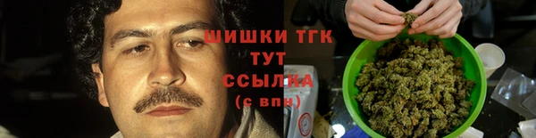 дурь Горно-Алтайск