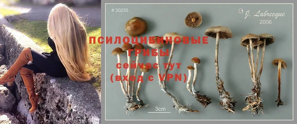 прущий лед Горнозаводск