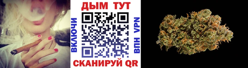 Купить  Бузулук  Шишки марихуана план 